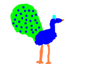 minpins_-_drawing_peacocks_3