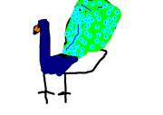 minpins_-_drawing_peacocks_9